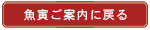 ご案内に戻る